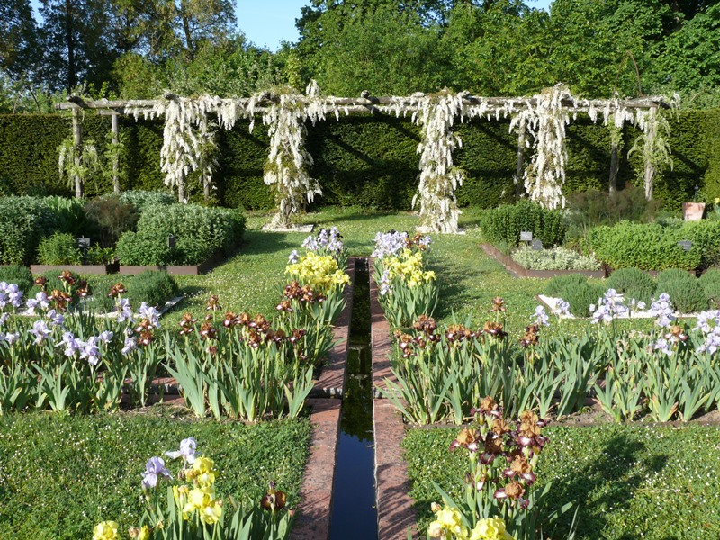 Mois des Iris au Domaine de Poulaines