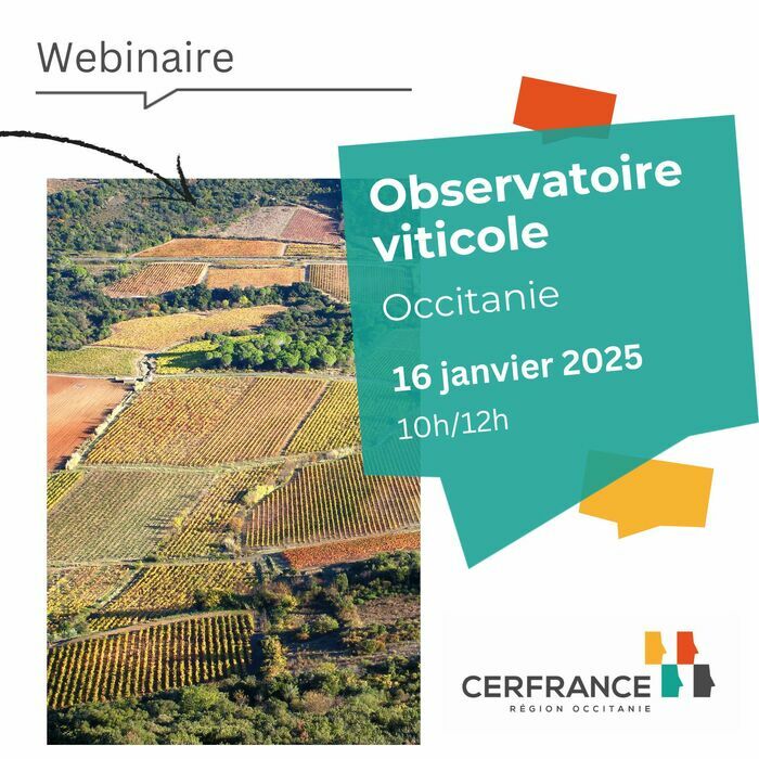 Observatoire viticole Occitanie Evènement digital