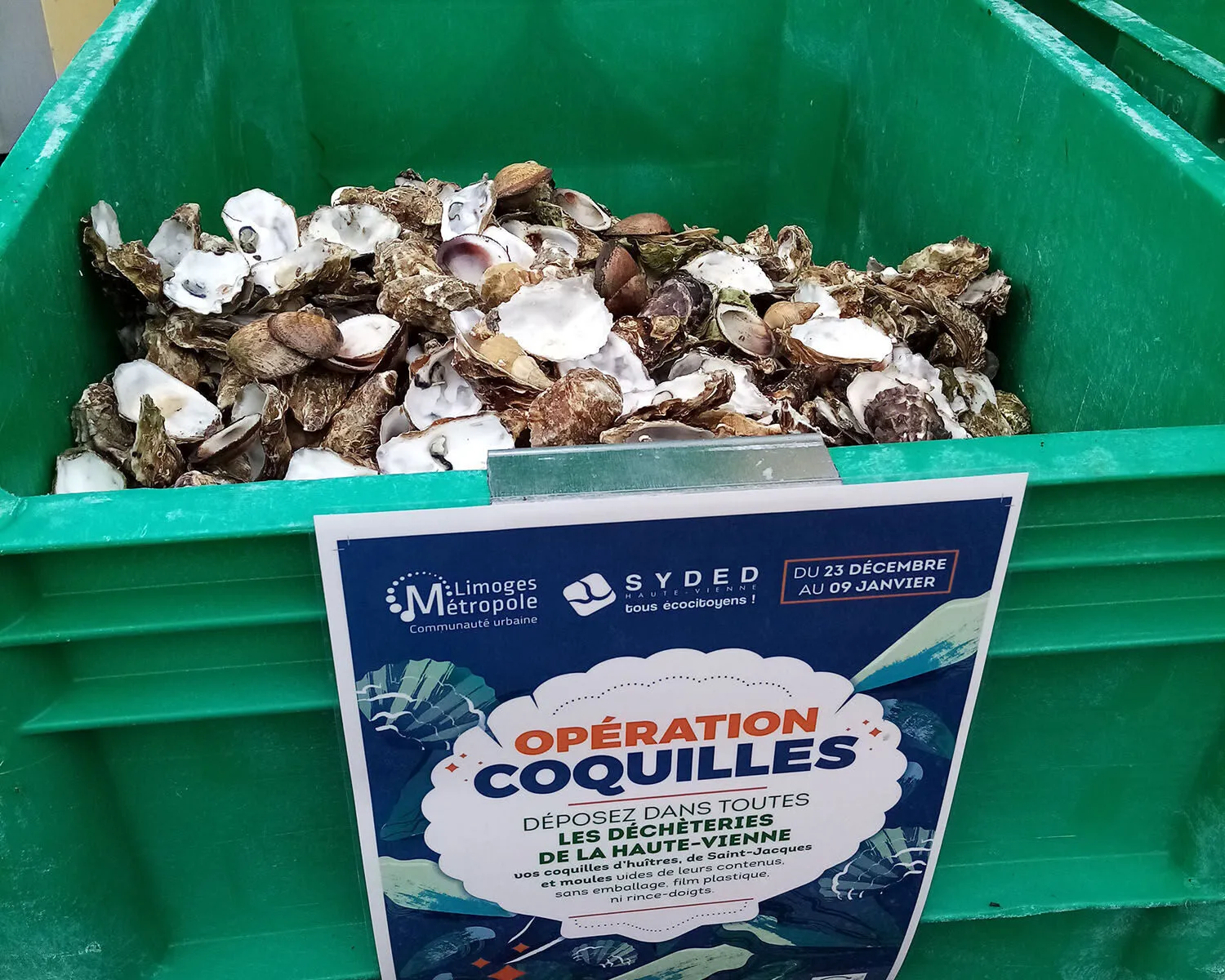 Opération collecte de coquilles en déchèterie