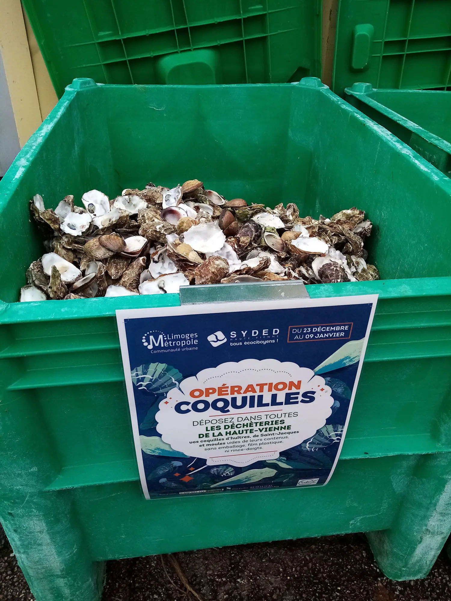 Opération collecte de coquilles en déchèterie