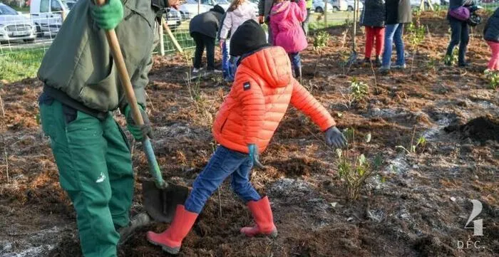 Plantation participative au Square Richard Square Charles Richard