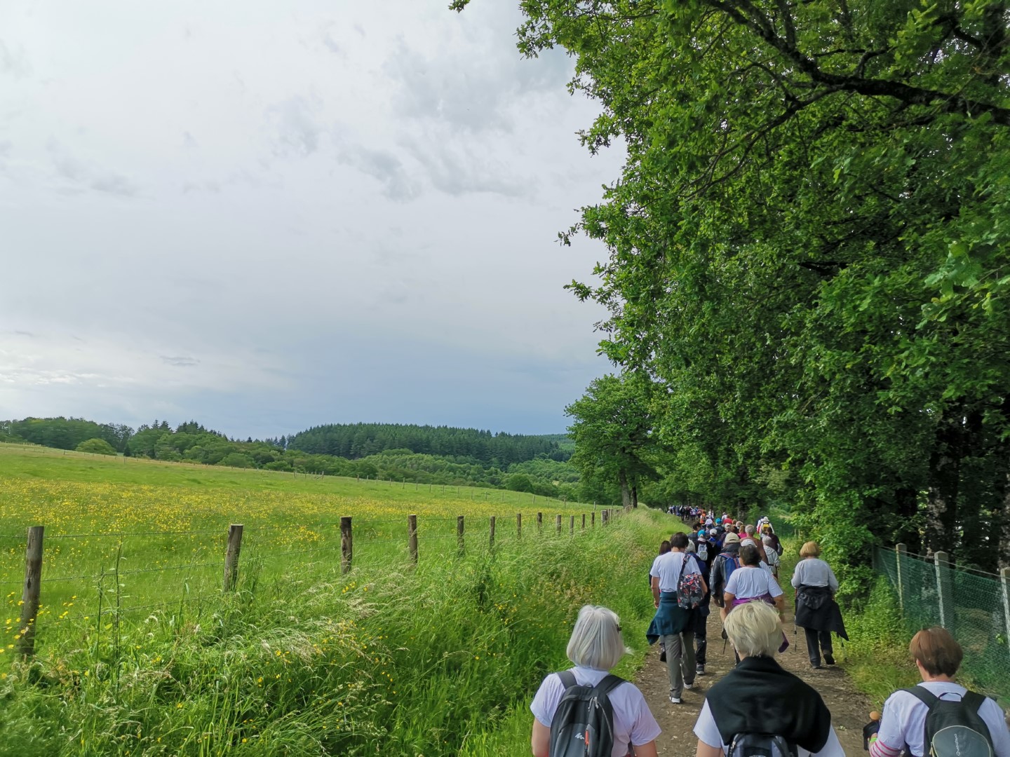 Randonnée pédestre "Bois des Boeufs"