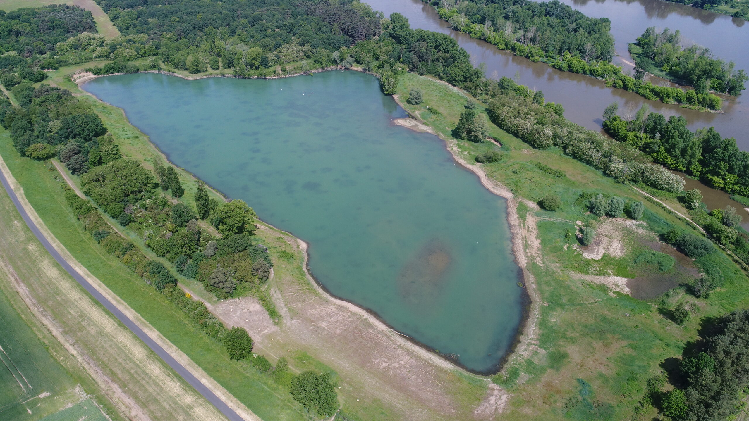 Sortie naturaliste accompagnée Les amphibiens du site de Courpain