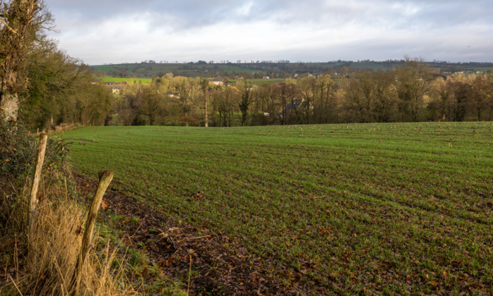 Webinaire sur l’agroforesterie – Projet européen Climate Farm Demo et Climate Smart Advisors Chambre d'agriculture Pays de la Loire