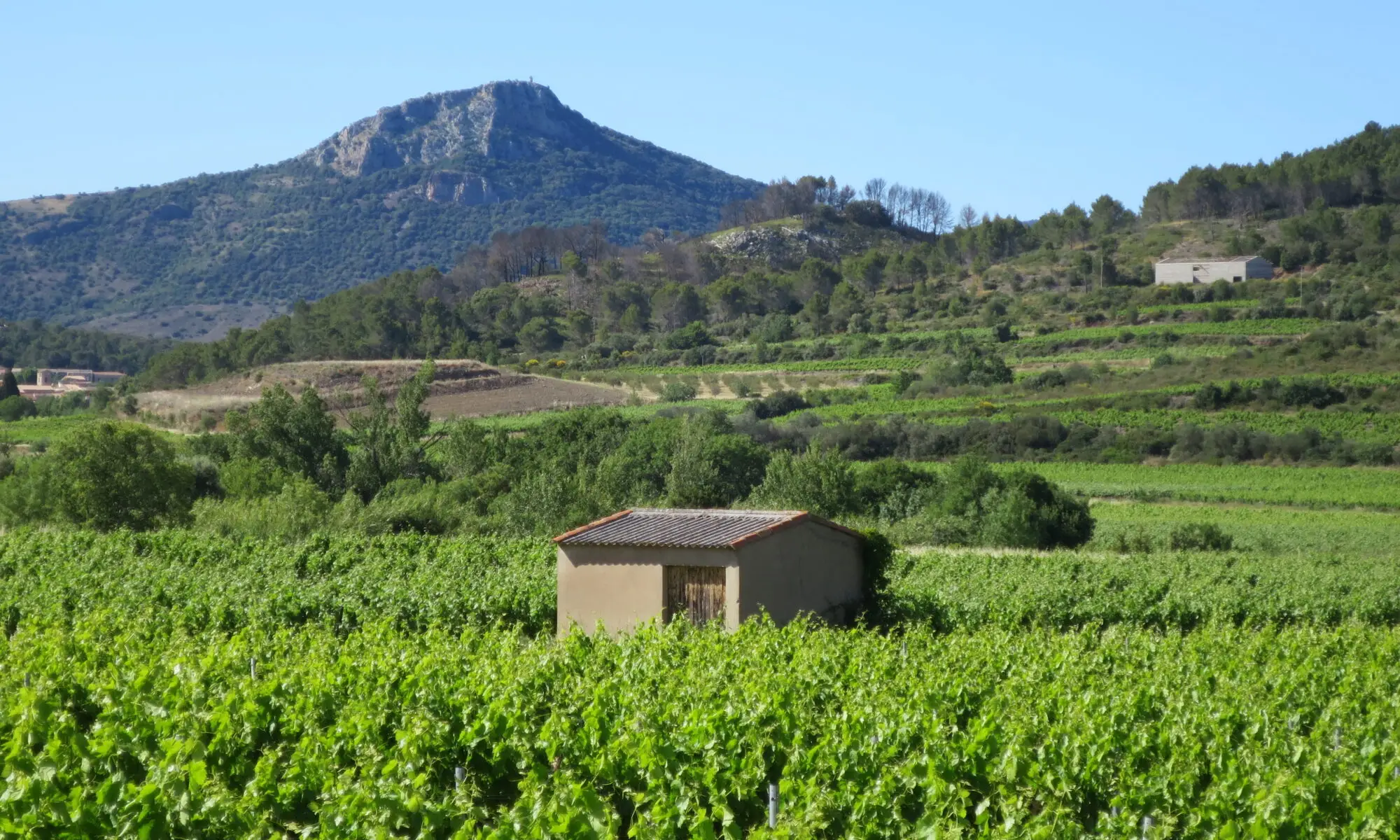 WEEK-END CÉPAGES ET TERROIRS DE FRANCE