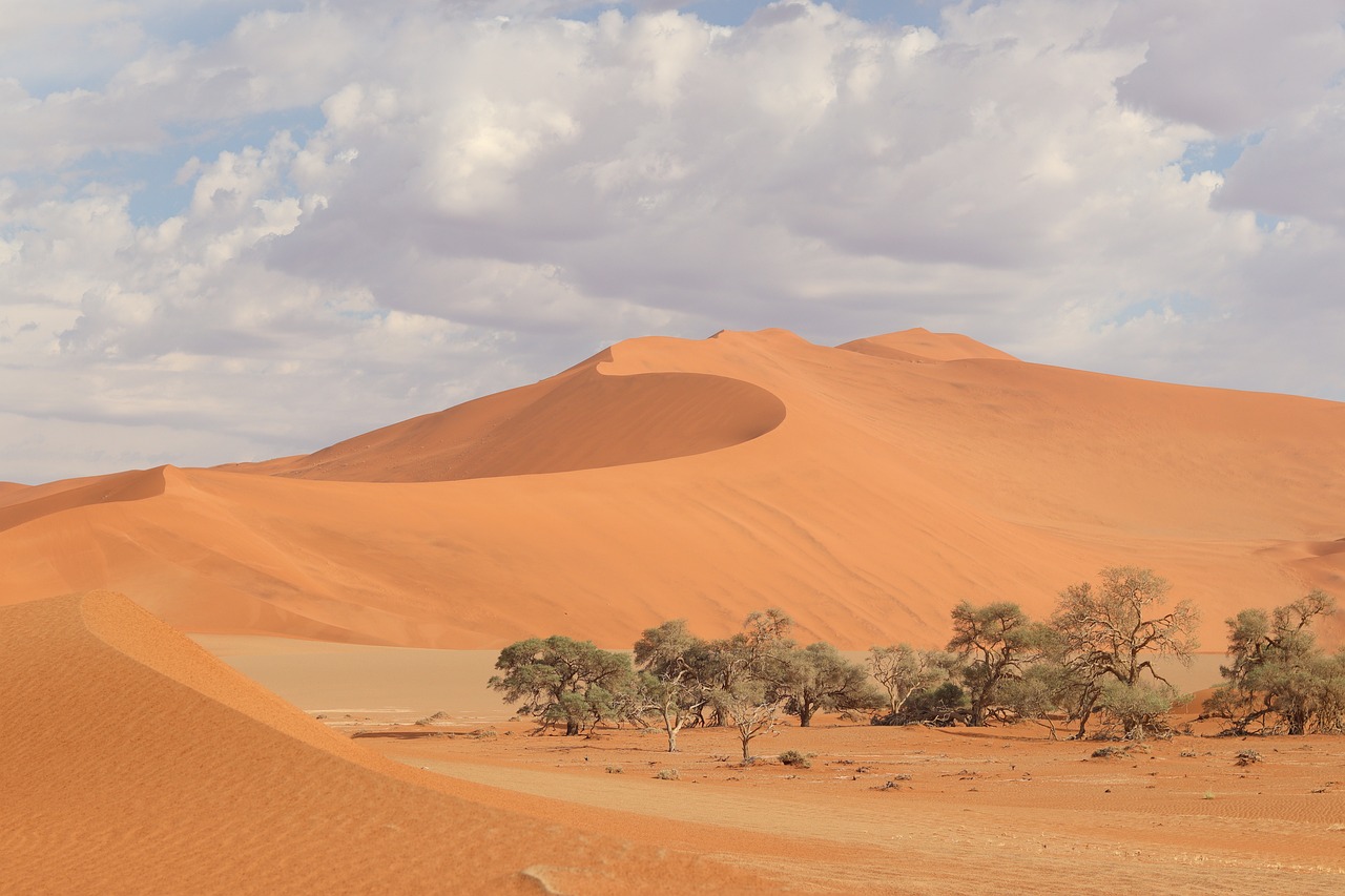 APÉRO-CULTUREL "NAMIBIE & BOTSWANA"