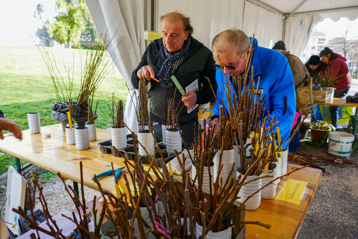 Bourse aux greffons 2025 Parc du Bosquet Alès