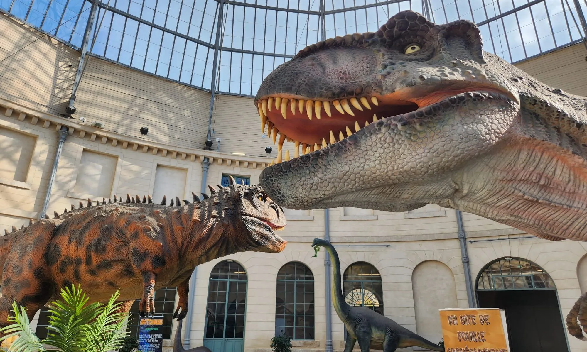 Expo découverte L'Histoire des Dinosaures Limoges