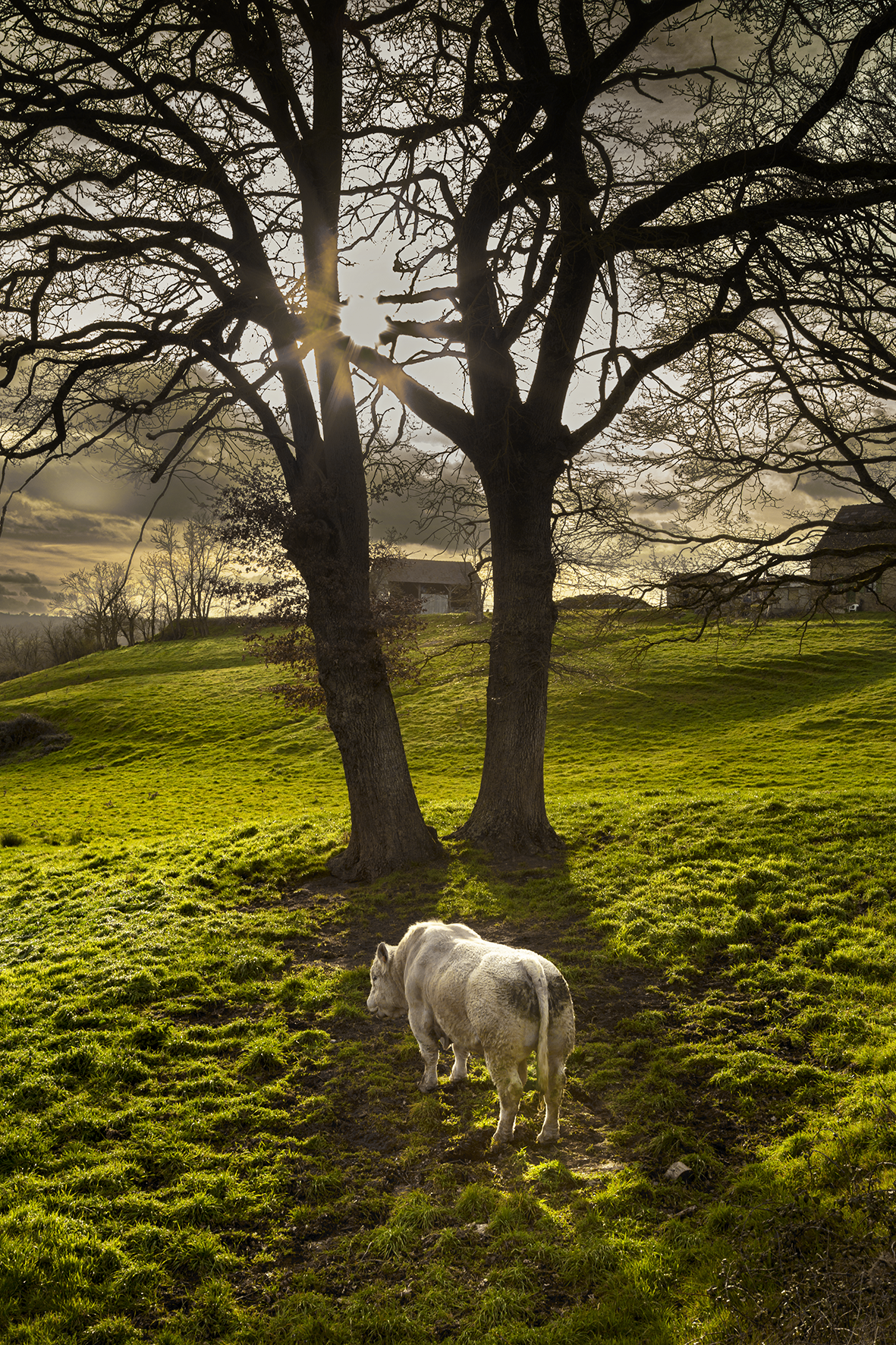 Expo photo "Paysans Paysage" par Sécyl Gilet