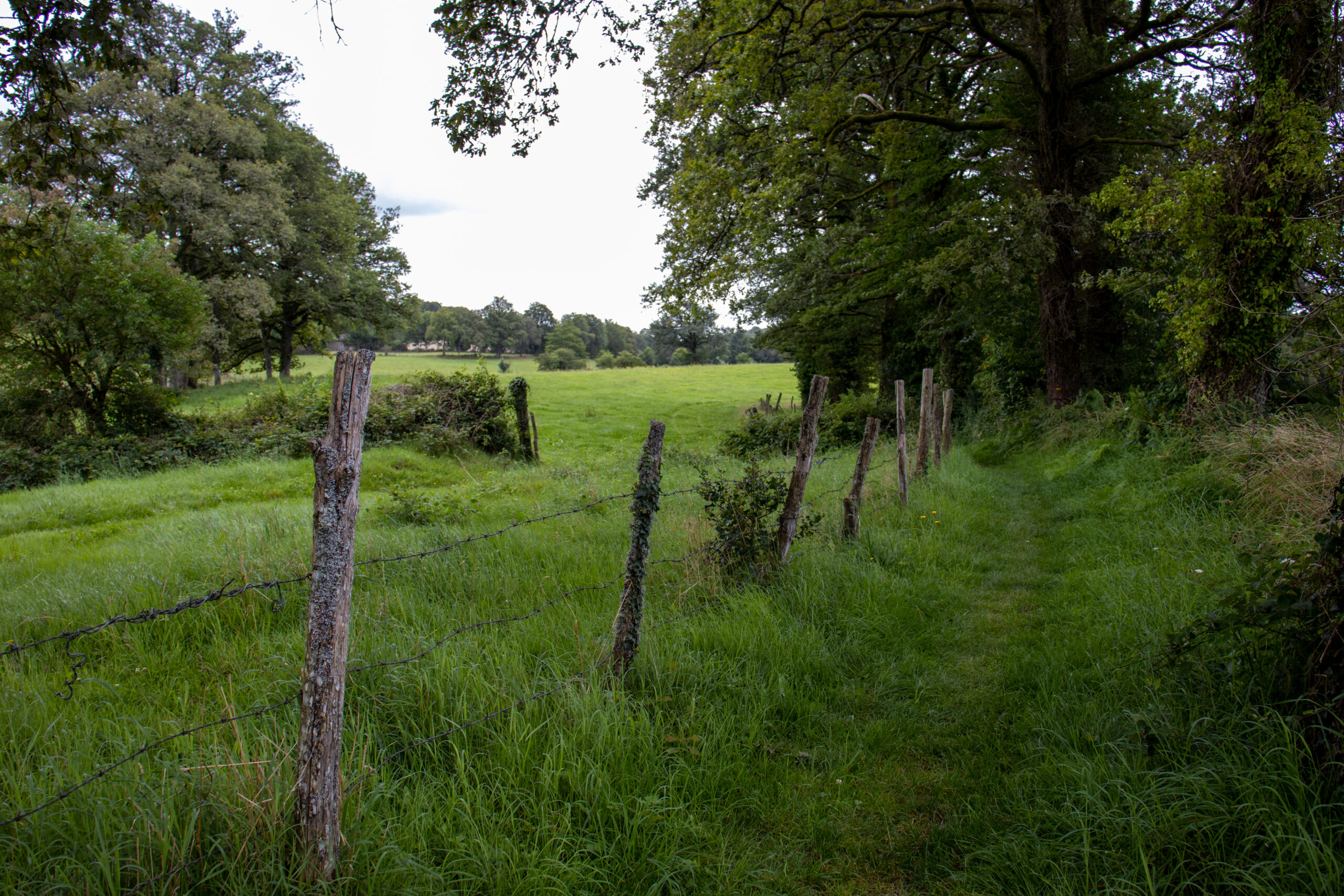 Randonnée douce avec Pique et Pousse en Quercy Blanc