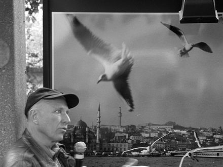 Photo, Sebastiao Salgado Genesis ou Que la terre est belle !