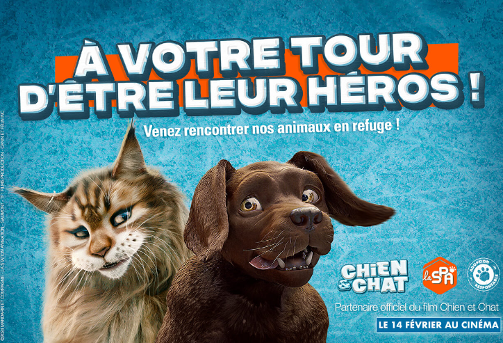 Cinéma. La SPA s’associe au film Chat chien de Reem Kherici