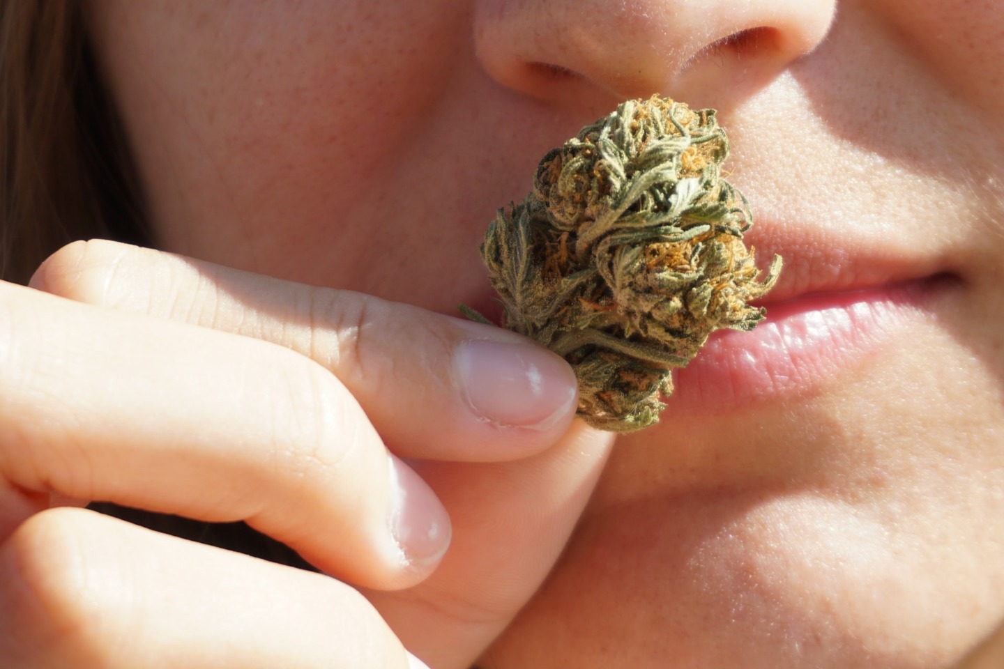 CBD. Le chemin sinueux de la légalité
