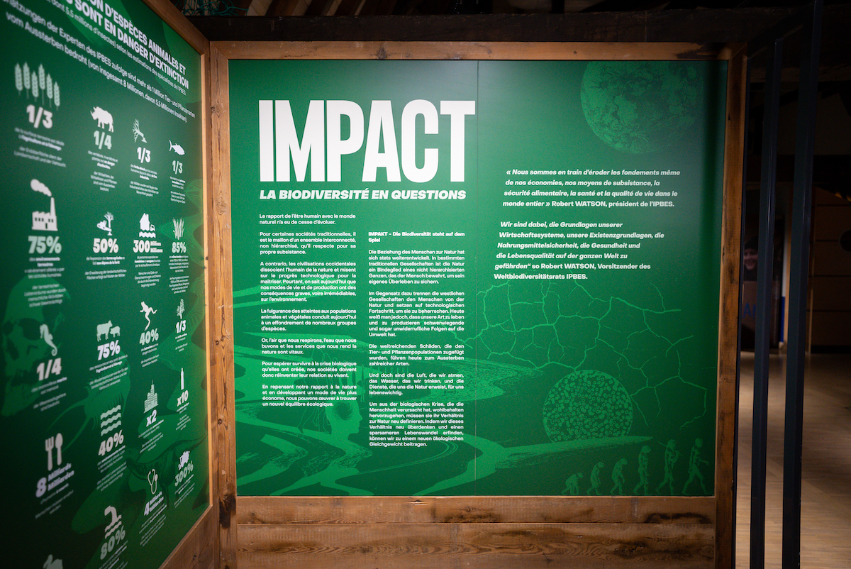 Roche-Jagu. L’exposition Impact explore la biodiversité