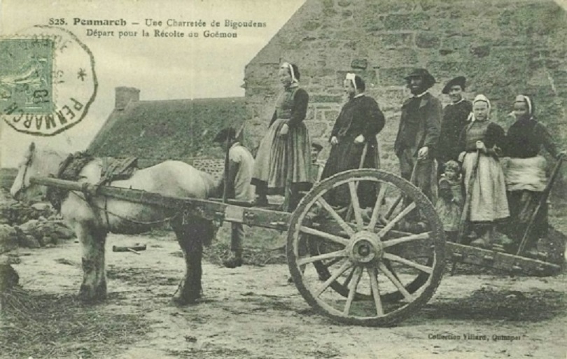 Fête du cheval de trait - Loudéac