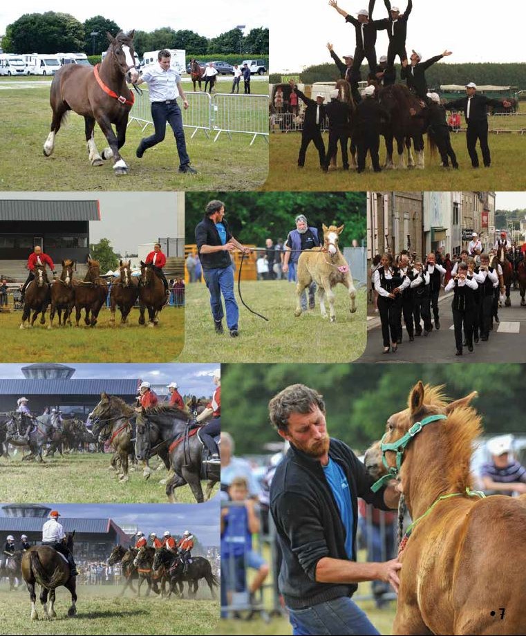 Fête du cheval de trait - Loudéac