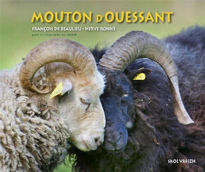 François de Beaulieu - l'Ankou