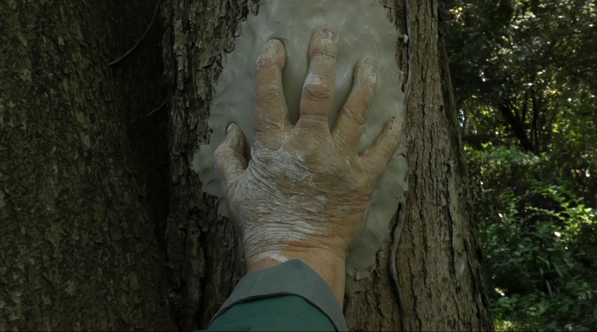 Ma perception, un documentaire sur les personnes aveugles et malvoyantes