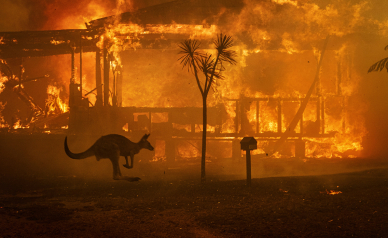Le festival photo La Gacilly fait un gros plan sur l’Australie