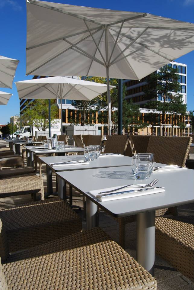 La terrasse du Coin du Monde, Un arbre dans le béton rennais