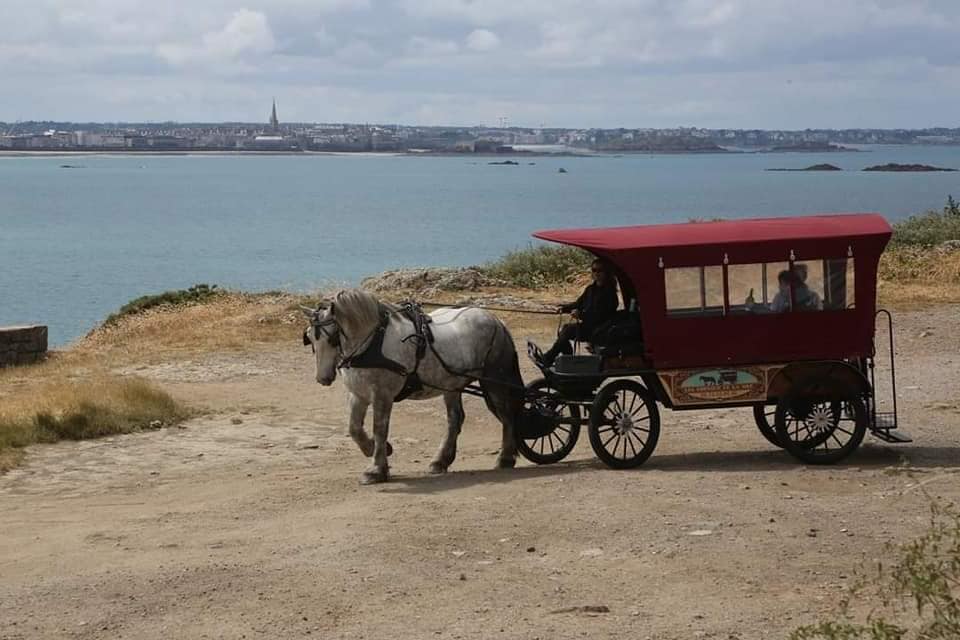SAINT-MALO SE DECOUVRE AVEC LES CHEVAUX DE LA MER