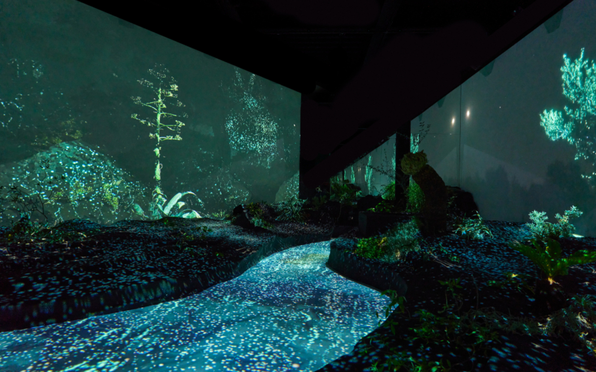 Installation immersive « Topologie de l’Eau : Roches